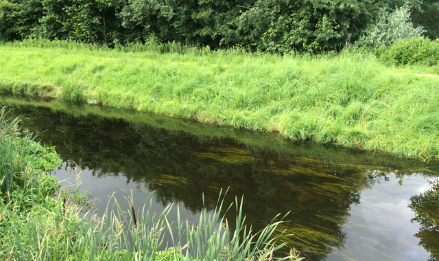 IMG_7214-Å-til-blog